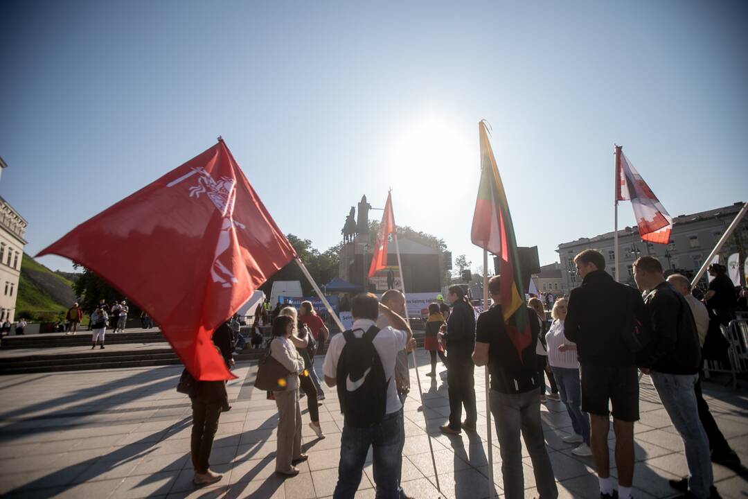 Žmonės renkasi į Šeimų sąjūdžio mitingą prie Katedros