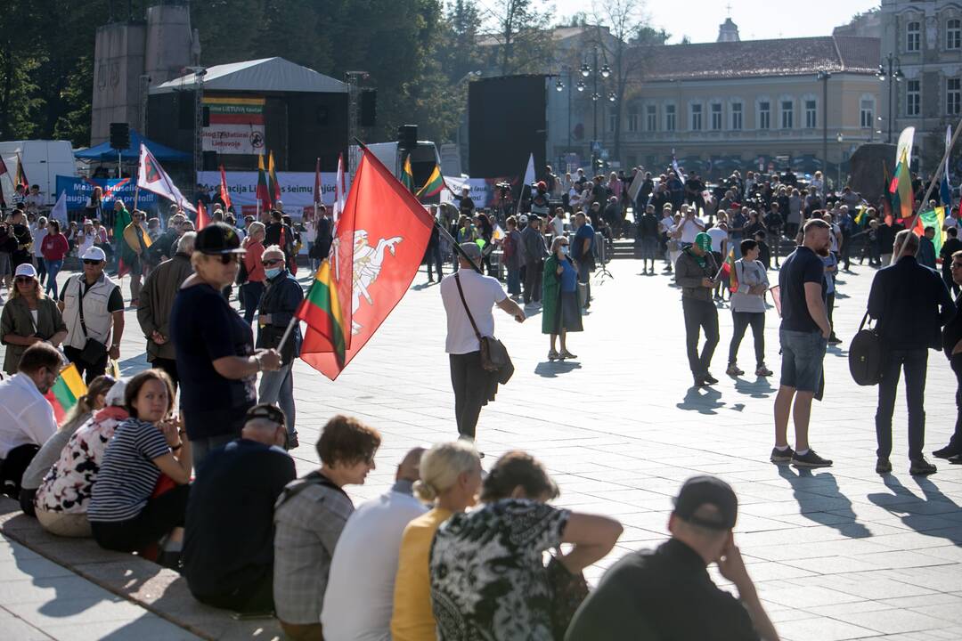 Šeimų sąjūdžio mitingas Vilniuje