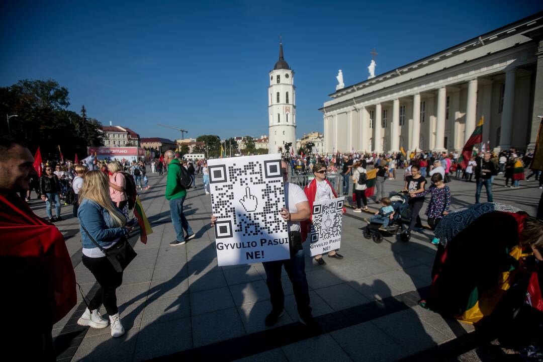 Šeimų sąjūdžio mitingas Vilniuje