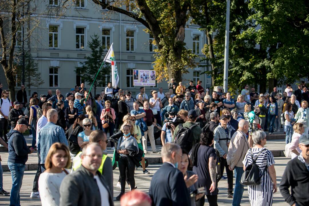 Šeimų sąjūdžio mitingas Vilniuje