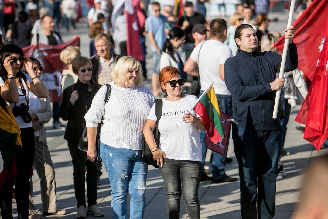 Šeimų sąjūdžio mitingas Vilniuje