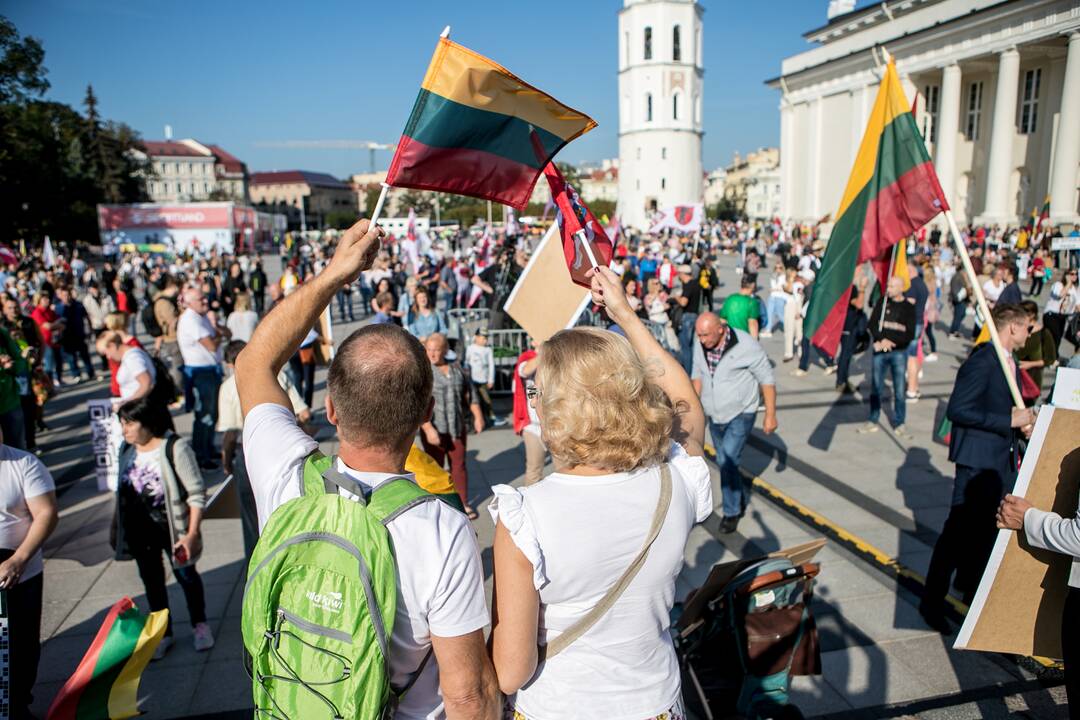 Šeimų sąjūdžio mitingas Vilniuje