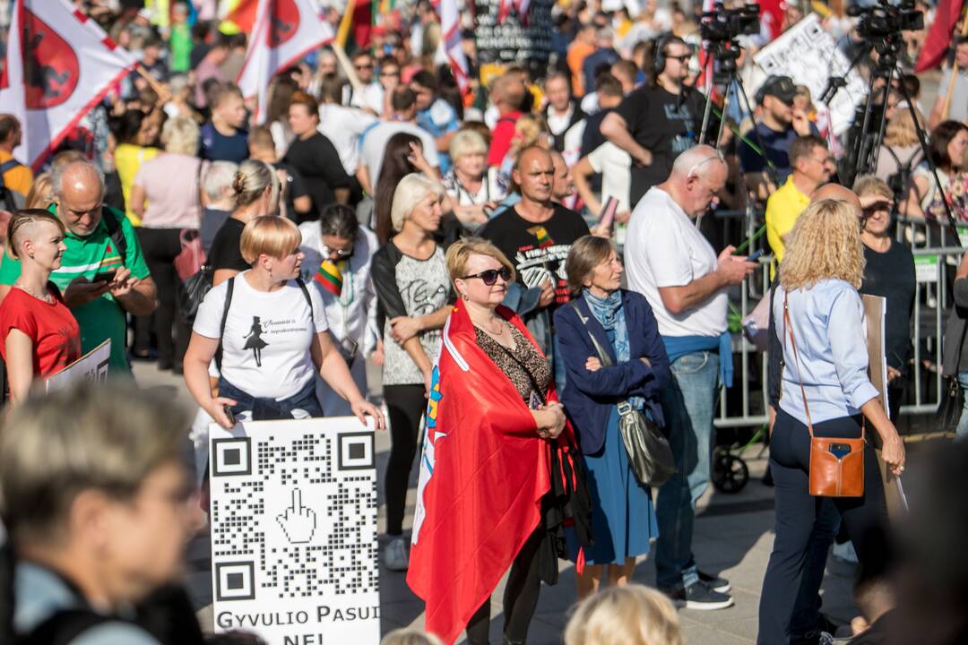 Šeimų sąjūdžio mitingas Vilniuje