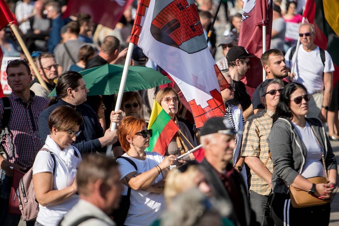 Šeimų sąjūdžio mitingas Vilniuje