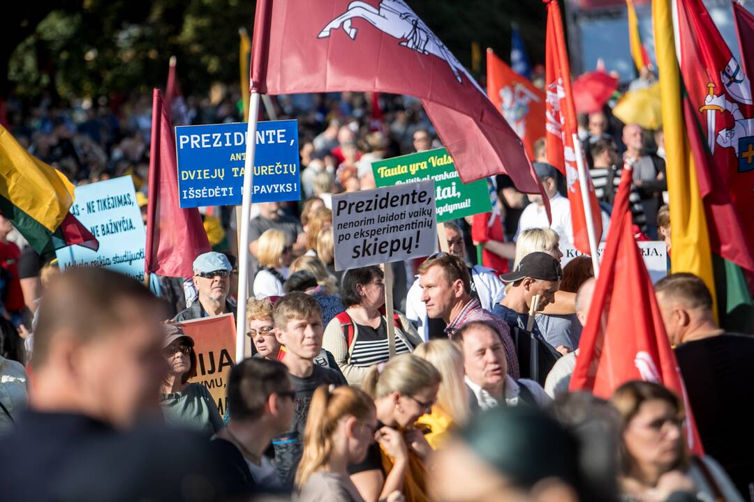 Šeimų sąjūdžio mitingas Vilniuje