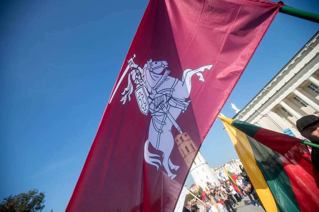 Šeimų sąjūdžio mitingas Vilniuje