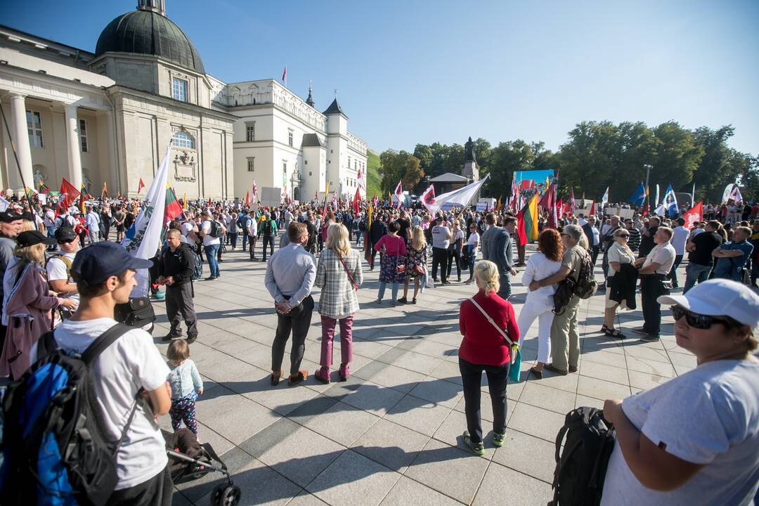 Šeimų sąjūdžio mitingas Vilniuje