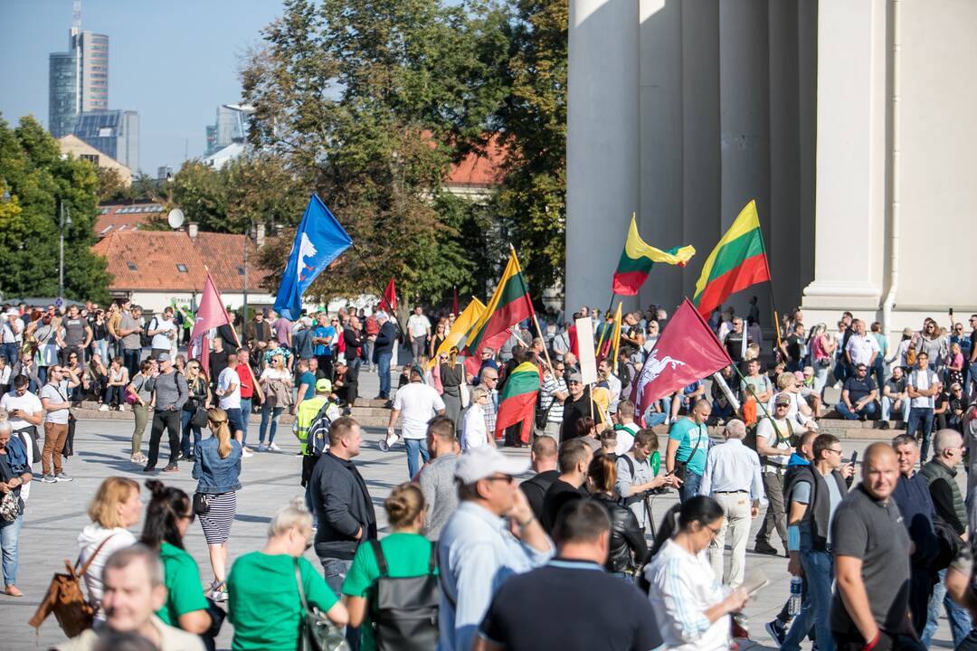 Šeimų sąjūdžio mitingas Vilniuje