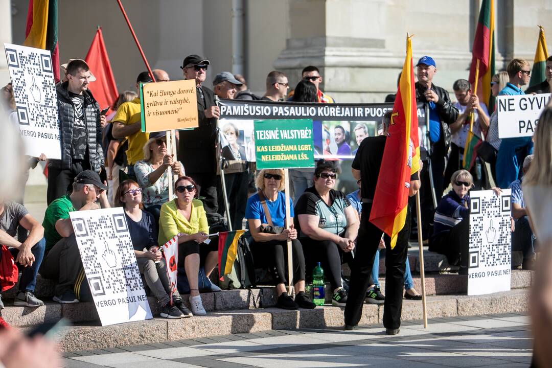 Šeimų sąjūdžio mitingas Vilniuje