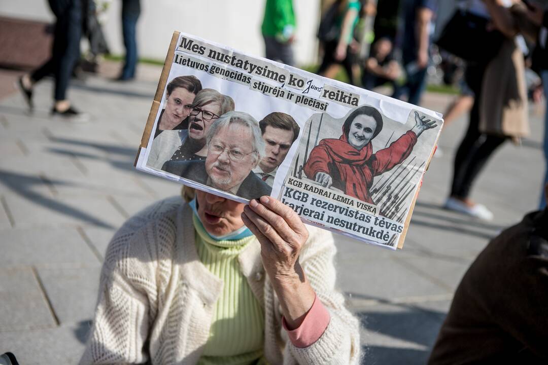 Šeimų sąjūdžio mitingas Vilniuje