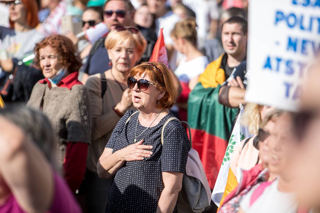 Šeimų sąjūdžio mitingas Vilniuje