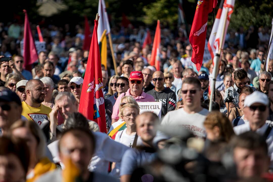 Šeimų sąjūdžio mitingas Vilniuje