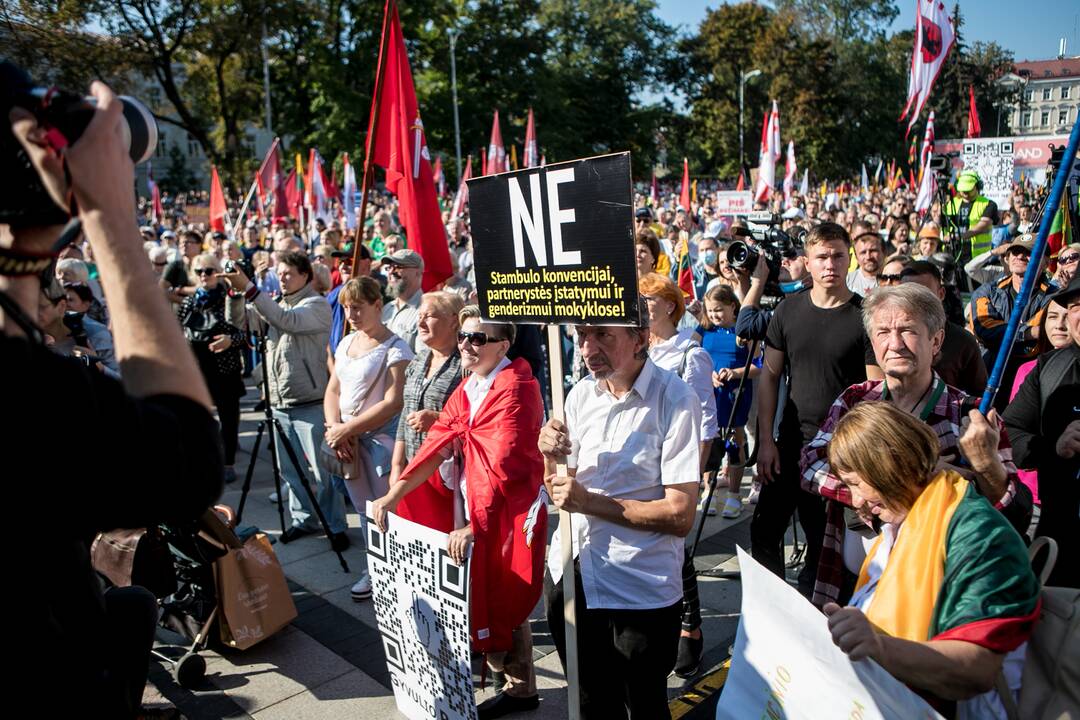 Šeimų sąjūdžio mitingas Vilniuje