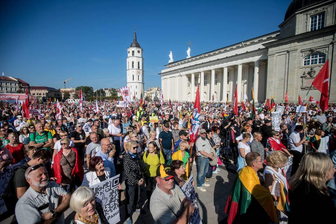 Šeimų sąjūdžio mitingas Vilniuje