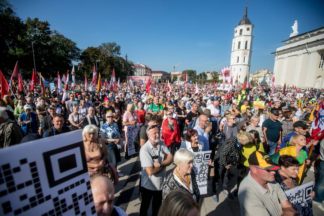 Šeimų sąjūdžio mitingas Vilniuje