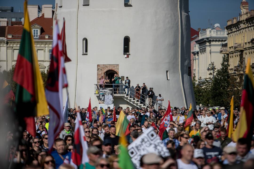 Šeimų sąjūdžio mitingas Vilniuje