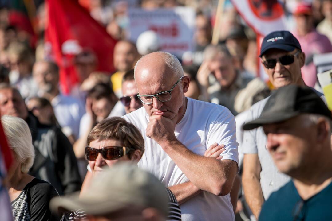 Šeimų sąjūdžio mitingas Vilniuje