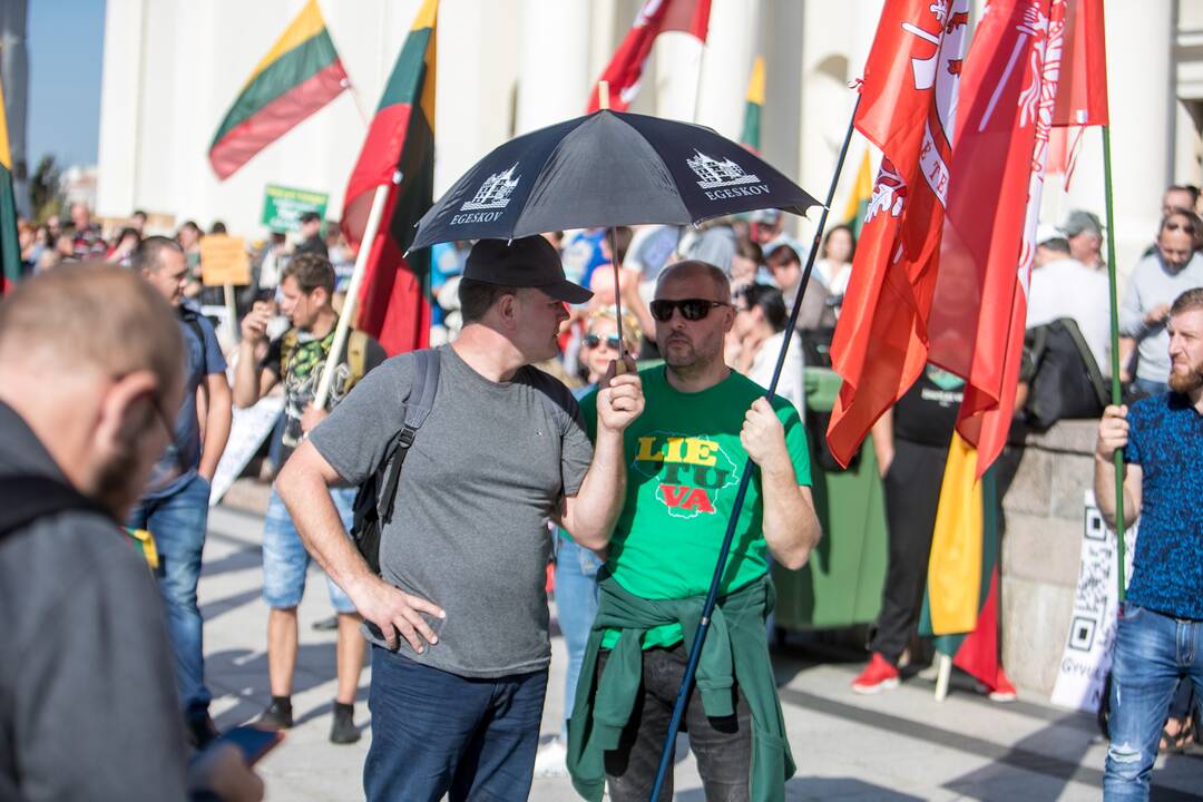 Šeimų sąjūdžio mitingas Vilniuje