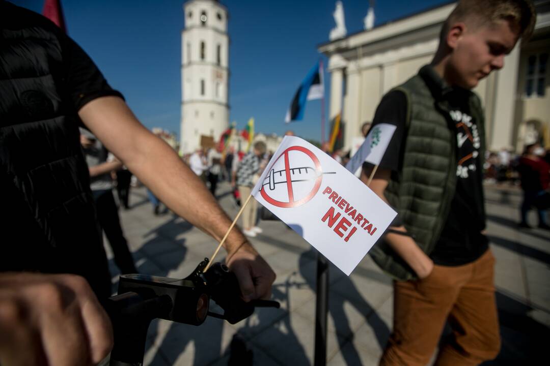 Šeimų sąjūdžio mitingas Vilniuje