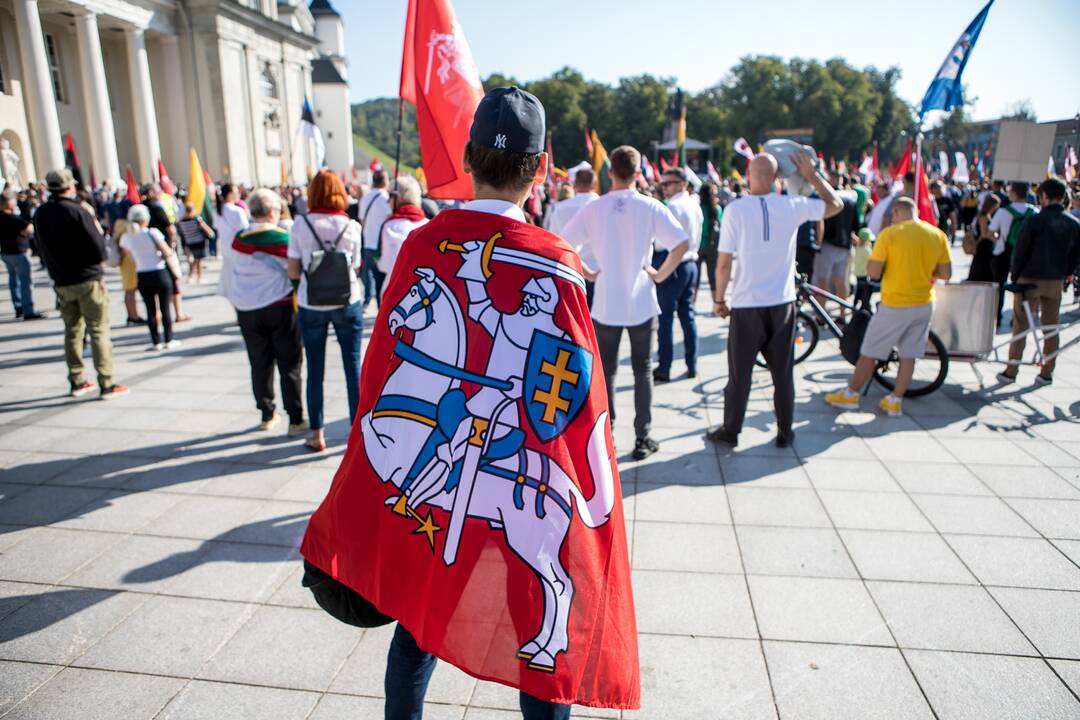 Šeimų sąjūdžio mitingas Vilniuje