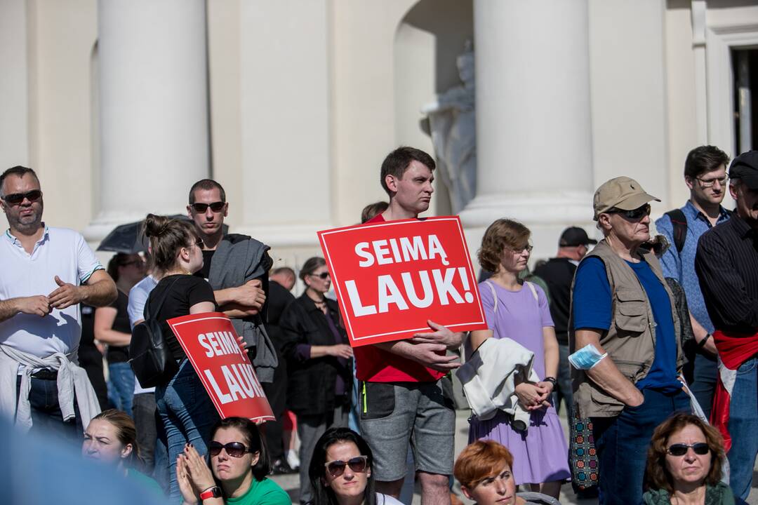 Šeimų sąjūdžio mitingas Vilniuje