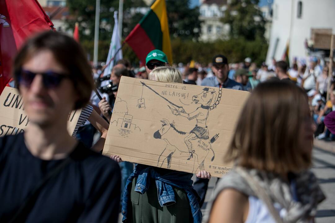 Šeimų sąjūdžio mitingas Vilniuje