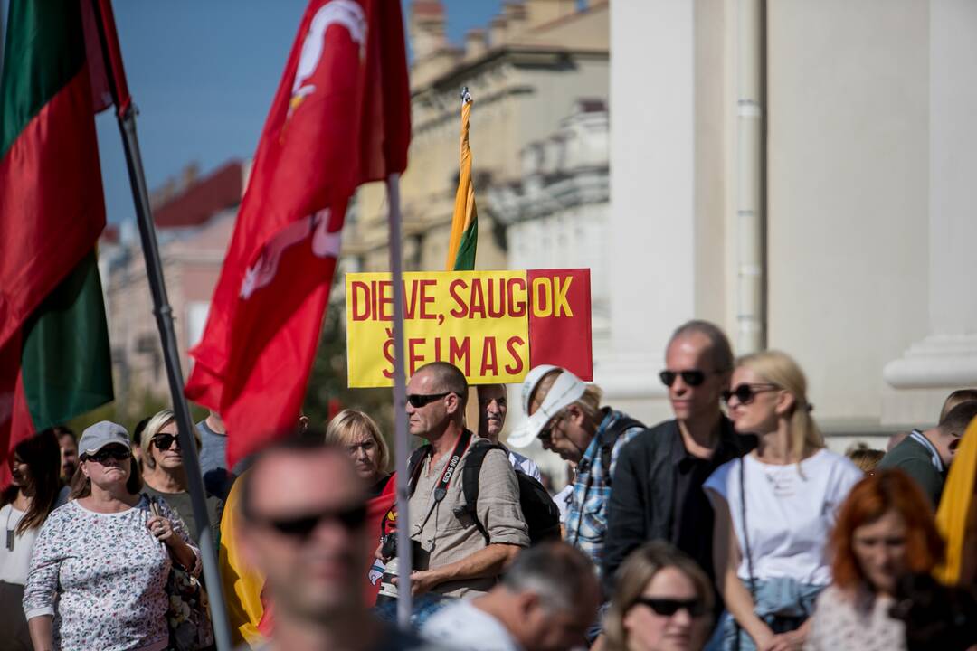 Šeimų sąjūdžio mitingas Vilniuje