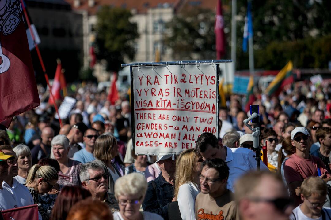 Šeimų sąjūdžio mitingas Vilniuje