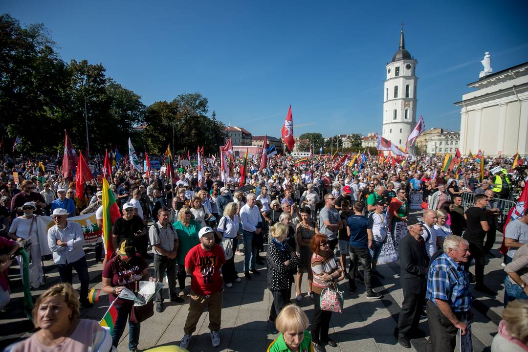 Šeimų sąjūdžio mitingas Vilniuje