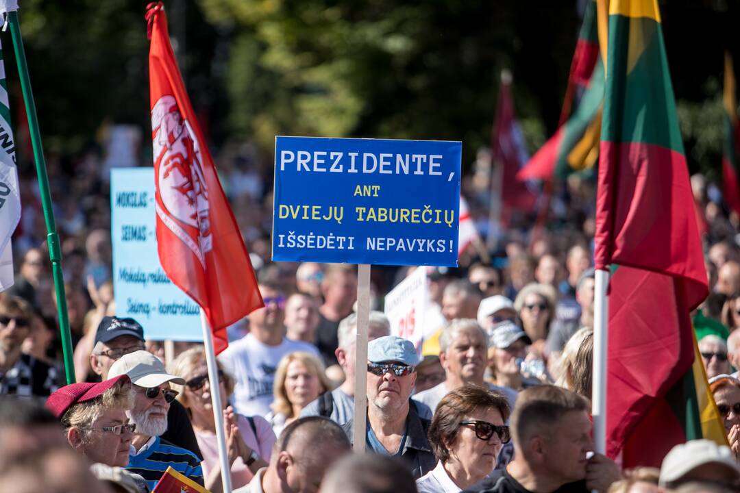 Šeimų sąjūdžio mitingas Vilniuje