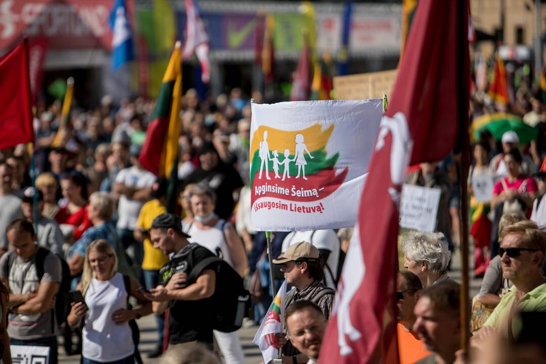 Šeimų sąjūdžio mitingas Vilniuje