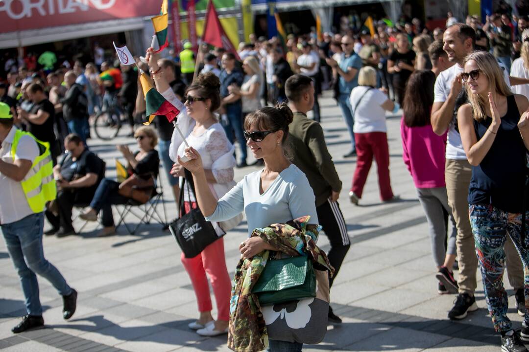 Šeimų sąjūdžio mitingas Vilniuje