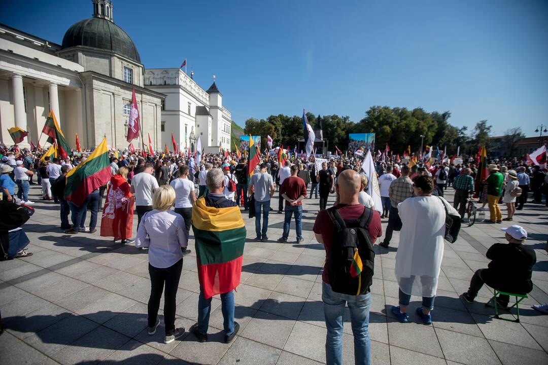 Šeimų sąjūdžio mitingas Vilniuje