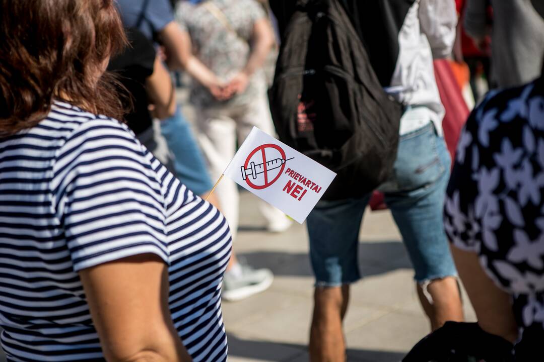 Šeimų sąjūdžio mitingas Vilniuje