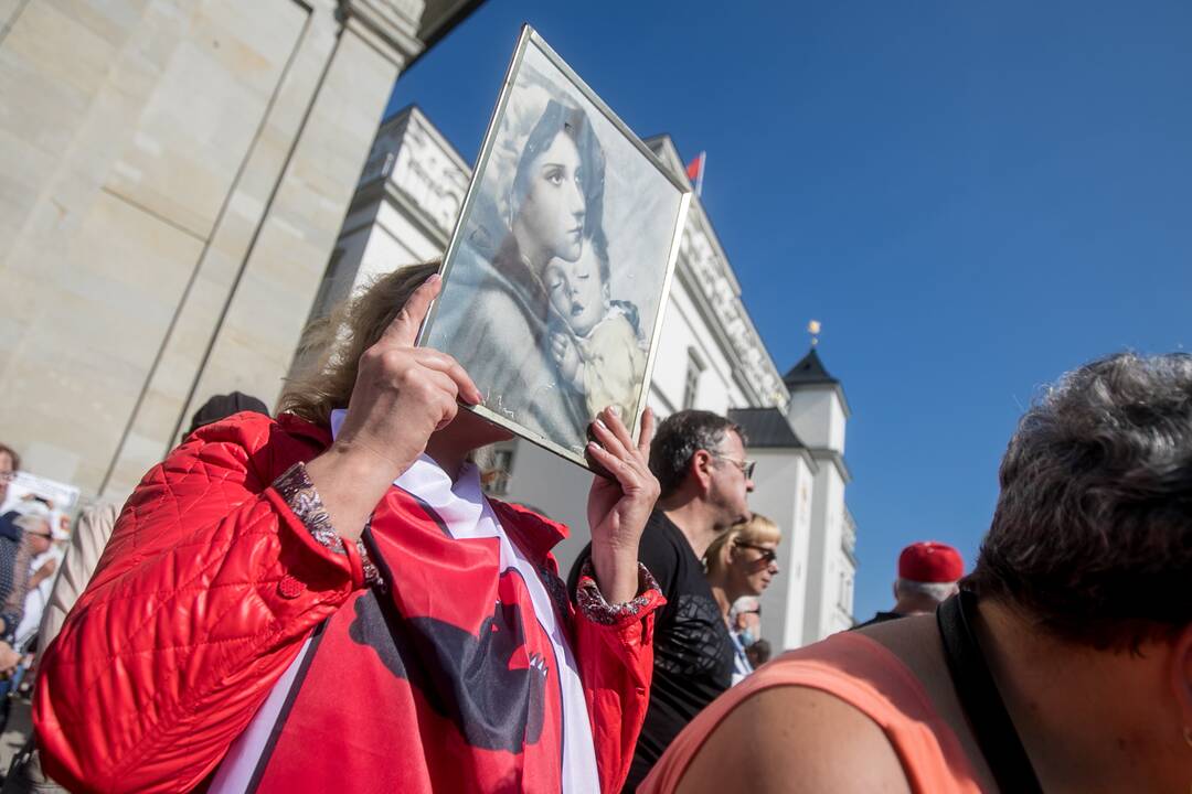Šeimų sąjūdžio mitingas Vilniuje