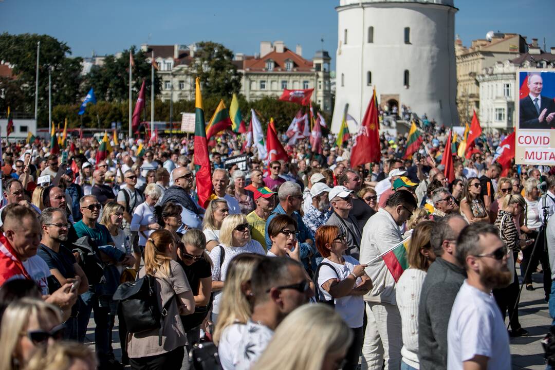 Šeimų sąjūdžio mitingas Vilniuje