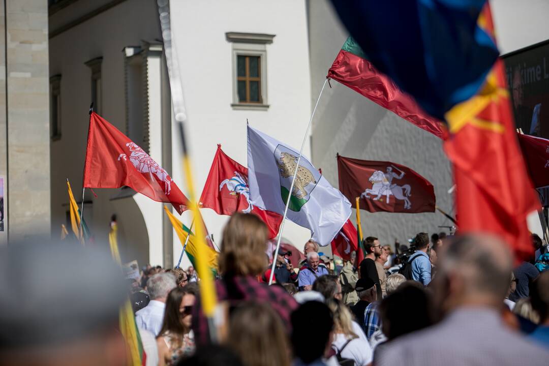 Šeimų sąjūdžio mitingas Vilniuje