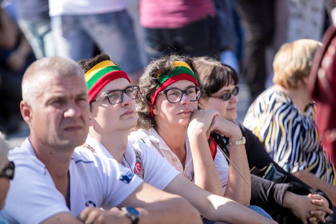 Šeimų sąjūdžio mitingas Vilniuje