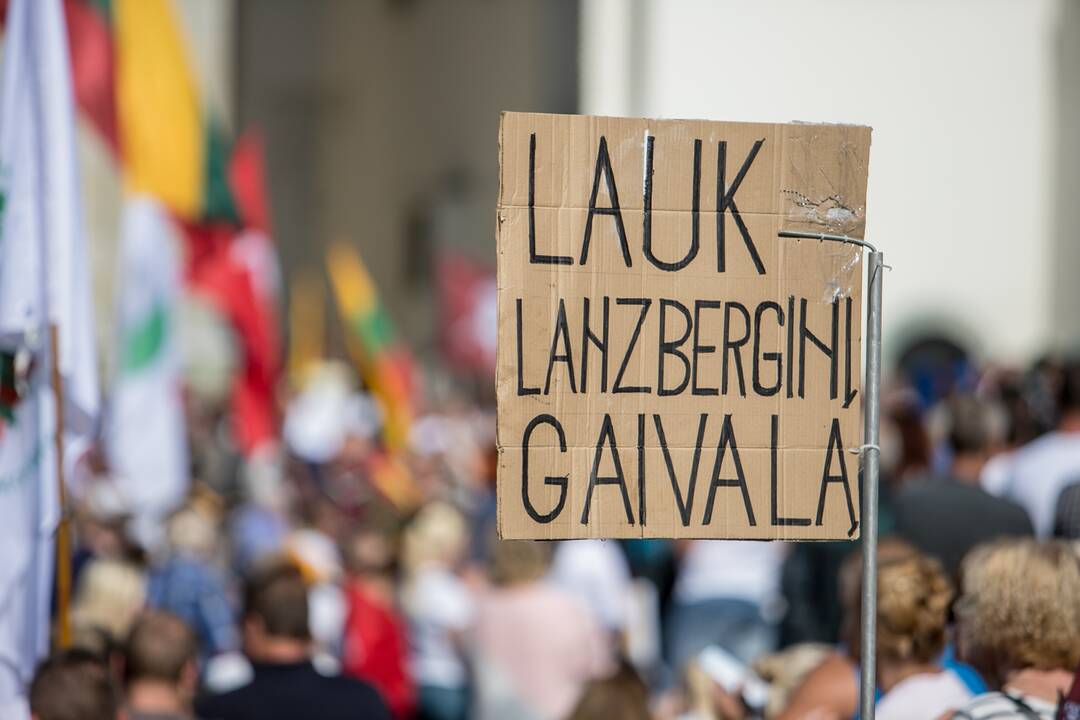 Šeimų sąjūdžio mitingas Vilniuje
