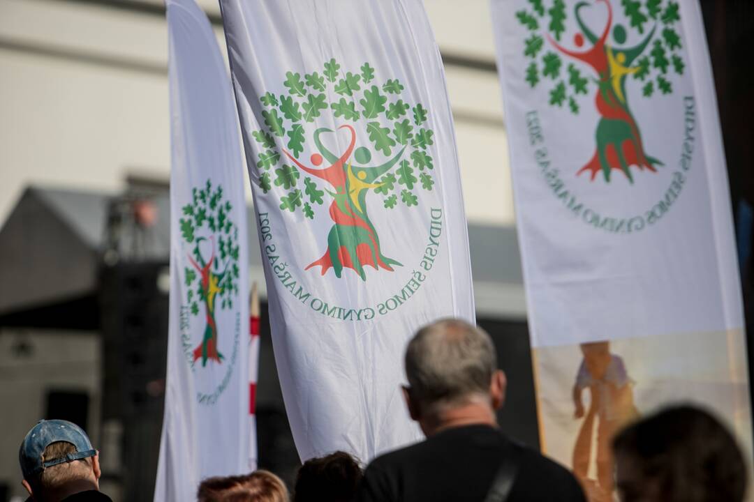 Šeimų sąjūdžio mitingas Vilniuje