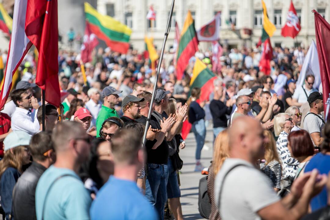 Šeimų sąjūdžio mitingas Vilniuje