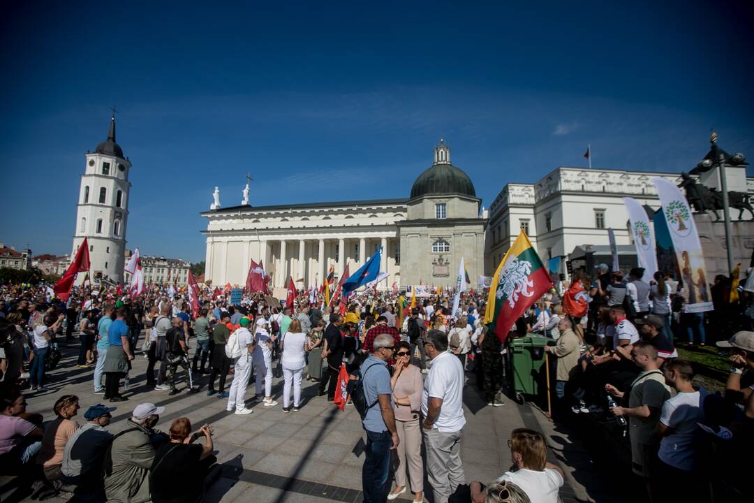 Šeimų sąjūdžio mitingas Vilniuje