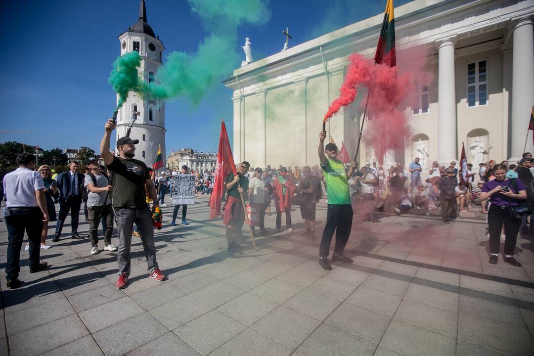 Šeimų sąjūdžio mitingas Vilniuje