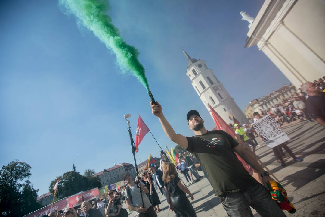 Šeimų sąjūdžio mitingas Vilniuje