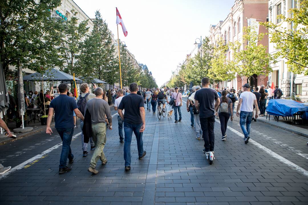 Dalis mitinguotojų iš Katedros aikštės patraukė link Seimo