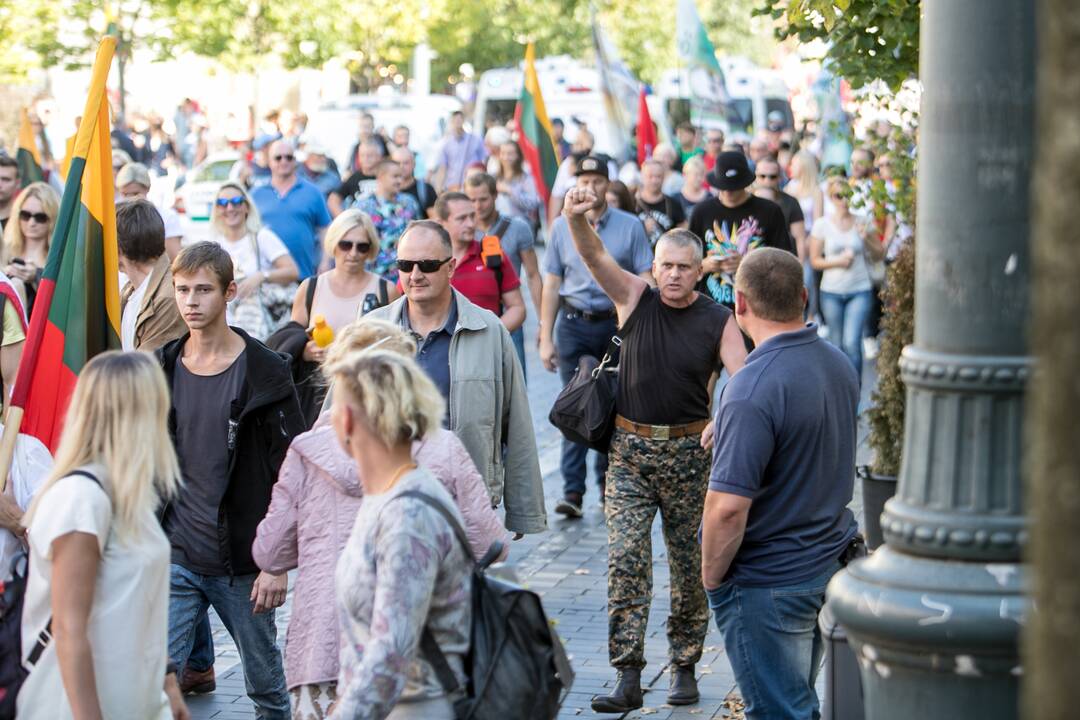 Dalis mitinguotojų iš Katedros aikštės patraukė link Seimo