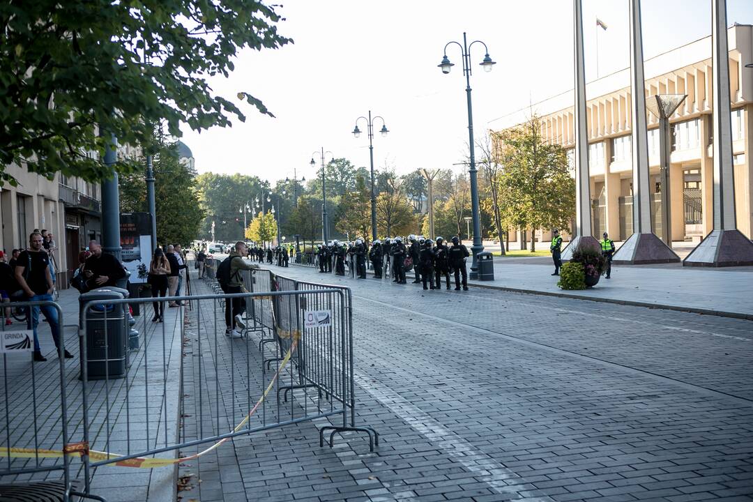 Dalis mitinguotojų iš Katedros aikštės patraukė link Seimo