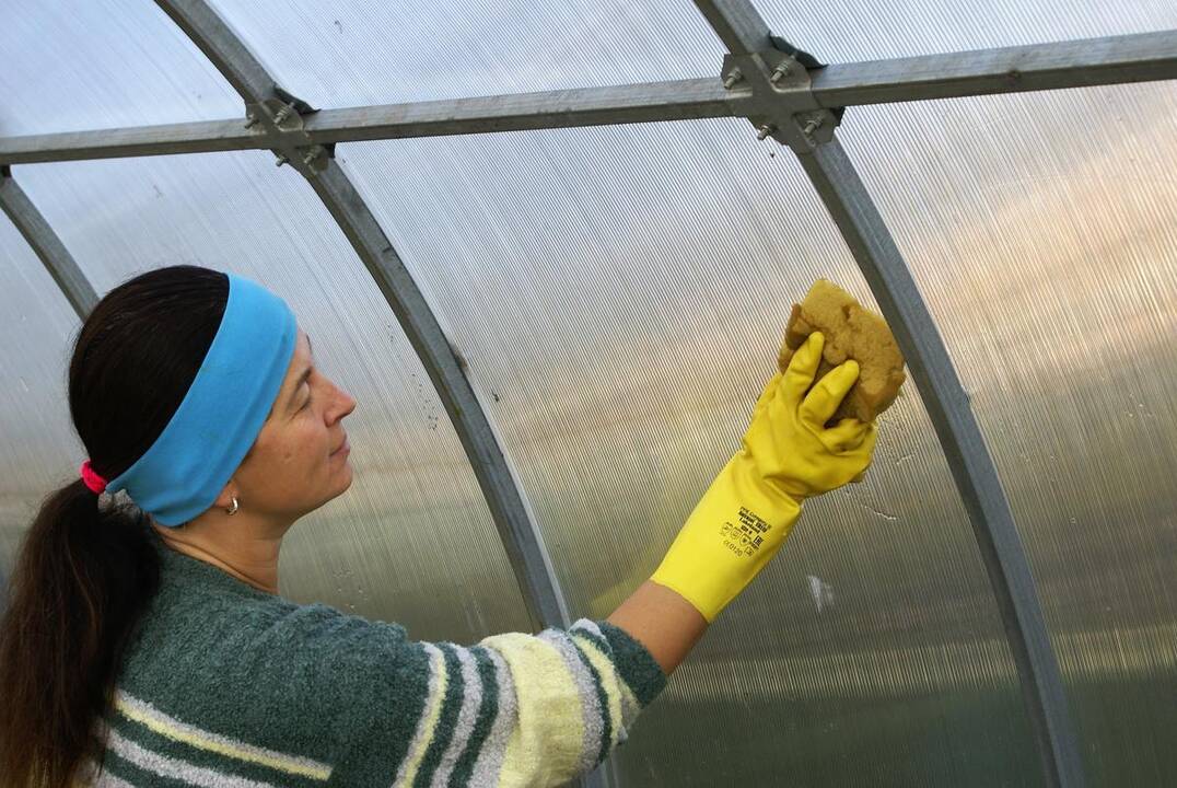 Darbai: prieš sodinant daržovių daigus, šiltnamį reikia išvalyti, dezinfekuoti, pasirūpinti dirvožemio kokybe.