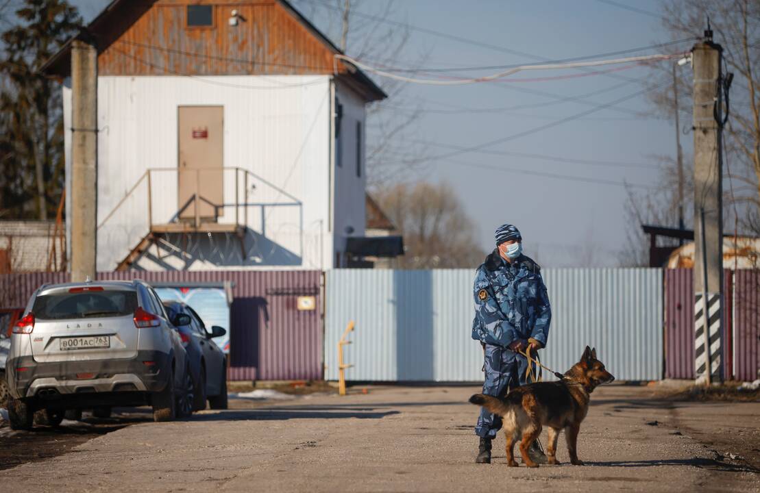 Keliems A. Navalno rėmėjams už protestą prie kolonijos skirtos laisvės atėmimo bausmės