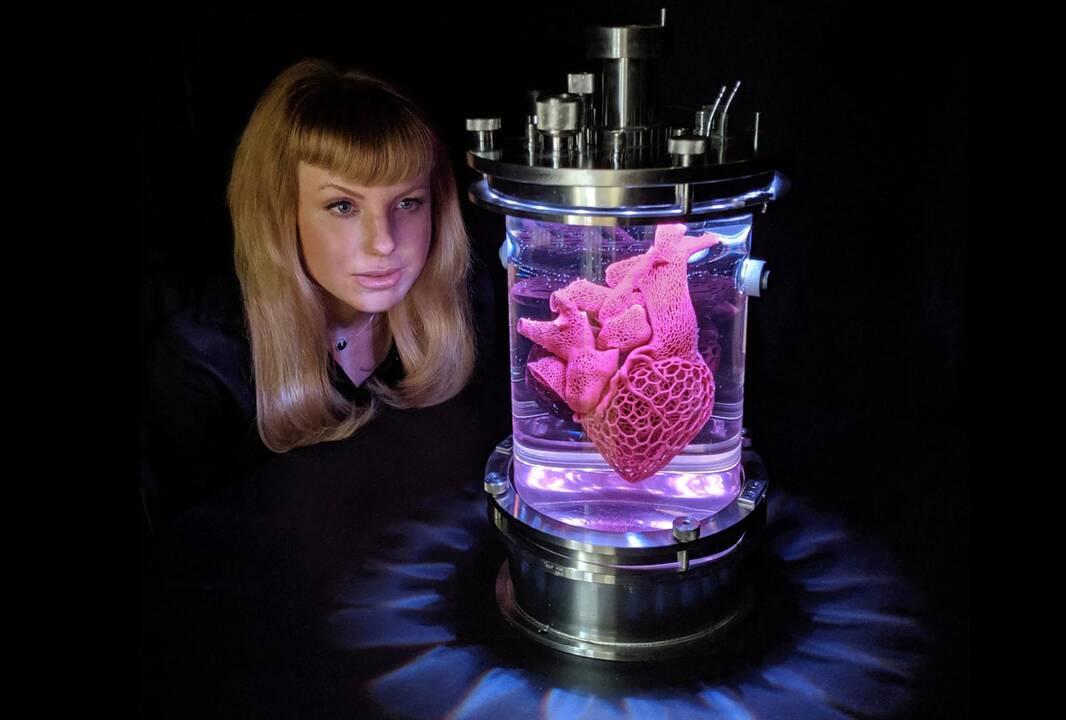 Kopija: permatomame stiklo inde eksponuojamas meno objektas primena anatominius griaučius.